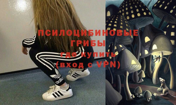 не бодяженный Горно-Алтайск