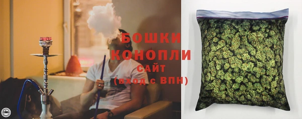 не бодяженный Горно-Алтайск