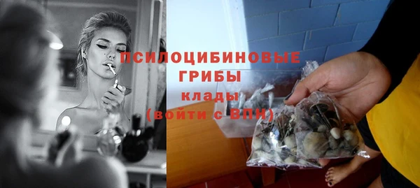 a pvp Горнозаводск