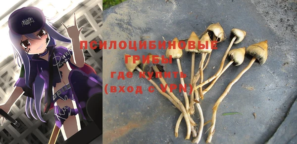 a pvp Горнозаводск